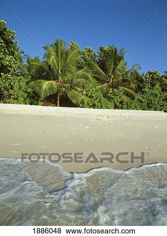 Stock Photo - Seychelles, Praslin, Waves Lapping Shore Of Beach With Palm Trees In Background; Anse Lazio. Fotosearch
