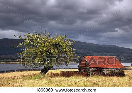 Shack In A Field; Strontian, Highland, Scotland View Large Photo Image Stock Image - Shack In A Field; Strontian, Highland, Scotland. Fotosearch