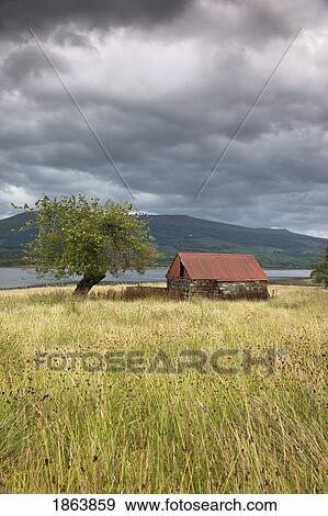 Stock Photo - Shack In A Field; Strontian, Highland, Scotland. Fotosearch