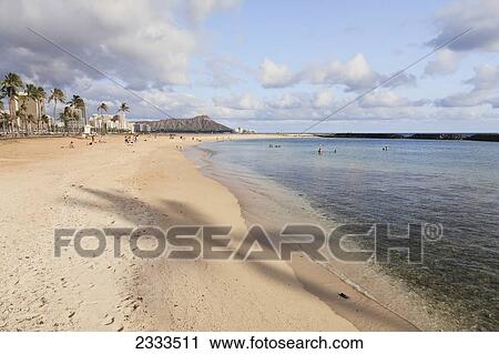 Shadow of a palm tree on the beach along the coast; Honolulu, Oahu, Hawaii, United States of America View Large Photo Image Stock Image - Shadow of a palm tree on the beach along the coast; Honolulu, Oahu, Hawaii, United States of America. Fotosearch