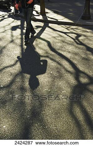 Shadow of a pedestrian and tree cast on the street, Marais district; Paris, France View Large Photo Image Stock Photo - Shadow of a pedestrian and tree cast on the street, Marais district; Paris, France. Fotosearch