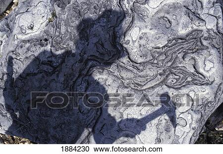Stock Image - Shadow Of Paleontologist Holding A Hammer. Fotosearch