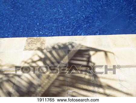 Stock Photography - Shadow Of Palm Frond Beside The Swimming Pool Of The Palms Hotel, Near Paje, Zanzibar, Tanzania.. Fotosearch