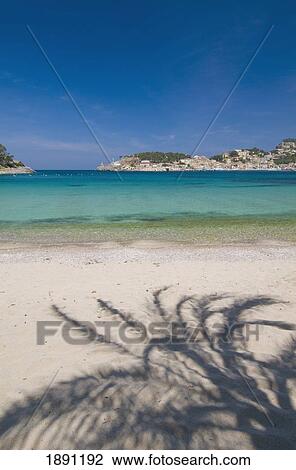 Shadow Of Palm Tree On Puerto De Soller Beach View Large Photo Image Stock Image - Shadow Of Palm Tree On Puerto De Soller Beach. Fotosearch