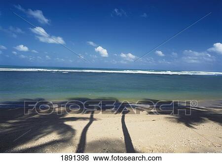 Stock Photo - Shadow Of Palm Trees On Beach. Fotosearch