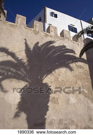 Shadow Of Tree Against Wall View Large Photo Image Stock Photograph - Shadow Of Tree Against Wall. Fotosearch