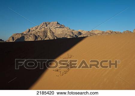 Shadow On Desert, Wadi Rum, Jordan, Middle East View Large Photo Image Stock Image - Shadow On Desert, Wadi Rum, Jordan, Middle East. Fotosearch