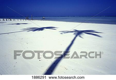 Stock Image - Shadows Of Palm Trees On White Sand Beach. Fotosearch