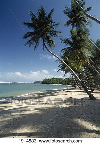 Stock Image - Shadows On Galera Point Beach. Fotosearch