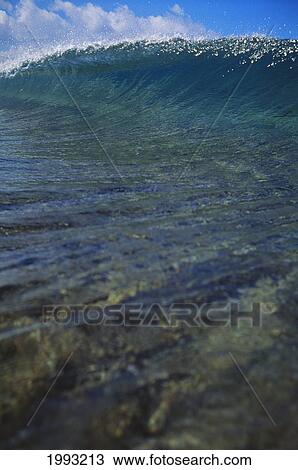Shallow Reef In Foreground Of Green Wave View Large Photo Image Stock Image - Shallow Reef In Foreground Of Green Wave. Fotosearch