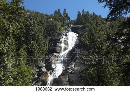 Shannon Falls Provincial Park, British Columbia, Canada View Large Photo Image Stock Image - Shannon Falls Provincial Park, British Columbia, Canada. Fotosearch