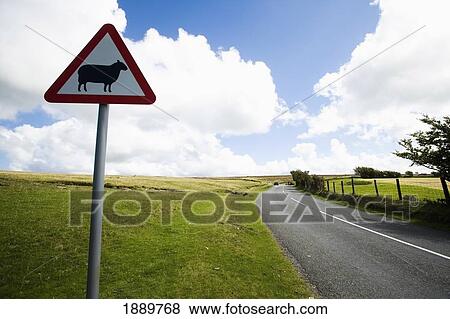 Stock Photo - Sheep Warning Sign By Sweeping Bend On Road Side. Fotosearch