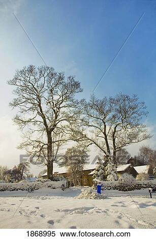Stock Photography - Sheffield, South Yorkshire, England; Footprints In The Snow Leading To Houses And Trees. Fotosearch