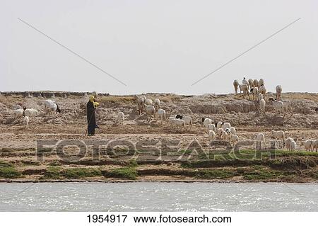 Shepherd along the shores of the Niger River between Mopti and Lake Debo, Mali View Large Photo Image Stock Photo - Shepherd along the shores of the Niger River between Mopti and Lake Debo, Mali. Fotosearch