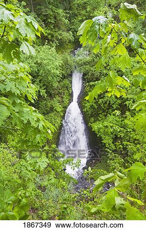 Shepherds Dell Falls, Columbia River Gorge, Oregon, United States Of America View Large Photo Image Stock Photo - Shepherds Dell Falls, Columbia River Gorge, Oregon, United States Of America. Fotosearch