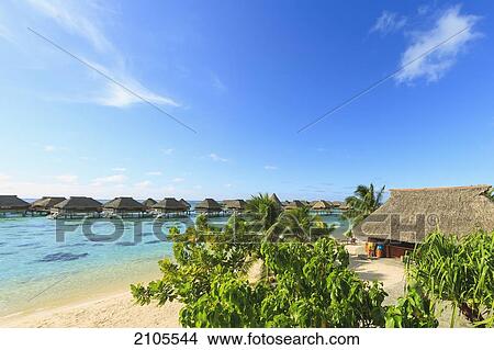 Sheraton Moorea Lagoon Resort And Spa; Moorea Island French Polynesia South Pacific View Large Photo Image Picture - Sheraton Moorea Lagoon Resort And Spa; Moorea Island French Polynesia South Pacific. Fotosearch