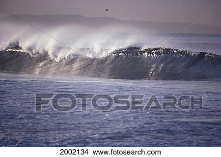 Shimmery Metallic Looking Waves Curling At Shore Break, Pale Pink Sky View Large Photo Image Picture - Shimmery Metallic Looking Waves Curling At Shore Break, Pale Pink Sky. Fotosearch