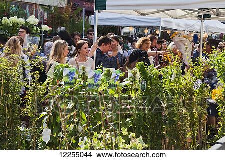 Picture - Shoppers on Columbia Road Flower Market; London, England. Fotosearch