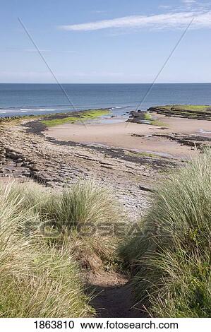 Stock Image - Shore Along The Ocean. Fotosearch