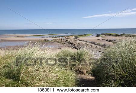 Shore Along The Ocean View Large Photo Image Stock Image - Shore Along The Ocean. Fotosearch
