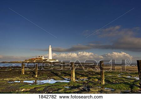 Stock Image - Shore And Lighthouse In Distance; Whitley Bay, Northumberland, England. Fotosearch