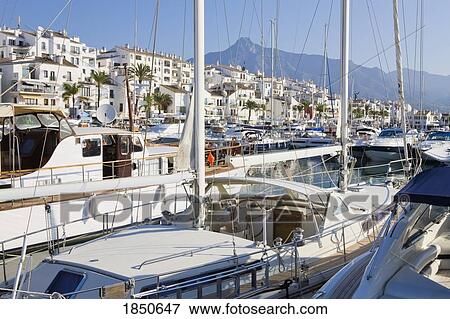 Shot Of A Busy Marina View Large Photo Image Stock Photo - Shot Of A Busy Marina. Fotosearch