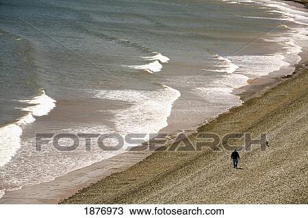 Sidmouth, Devon, England; A Man Walking His Dog Along Jacob's Ladder Beach View Large Photo Image Stock Image - Sidmouth, Devon, England; A Man Walking His Dog Along Jacob's Ladder Beach. Fotosearch