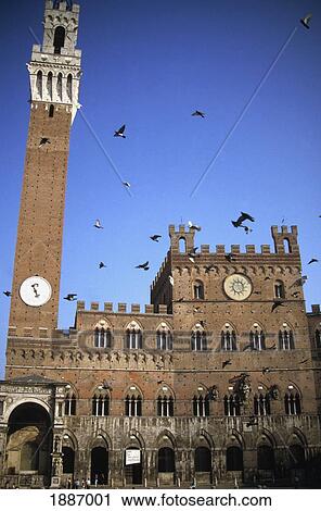 Stock Image - Sienna's Duomo And Flying Birds. Fotosearch