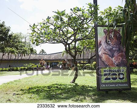 Sign and entrance to the Honolulu Zoo; Honolulu, Oahu, Hawaii, United States of America View Large Photo Image Stock Image - Sign and entrance to the Honolulu Zoo; Honolulu, Oahu, Hawaii, United States of America. Fotosearch
