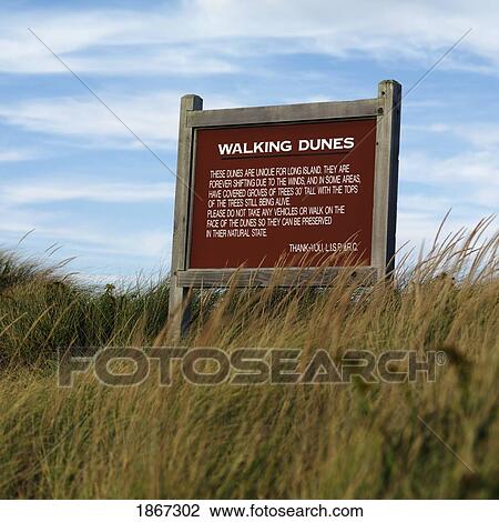 Sign In Dunes, Sag Harbor, New York, Usa View Large Photo Image Stock Image - Sign In Dunes, Sag Harbor, New York, Usa. Fotosearch