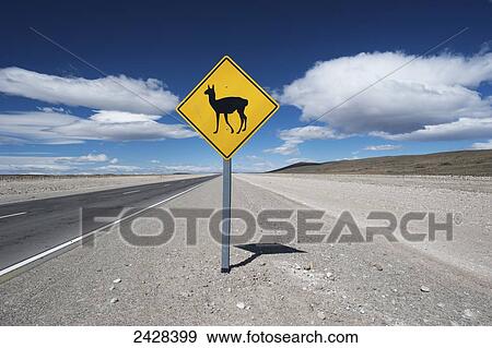 Sign warning of llama sightings along a road; Argentina View Large Photo Image Stock Photo - Sign warning of llama sightings along a road; Argentina. Fotosearch