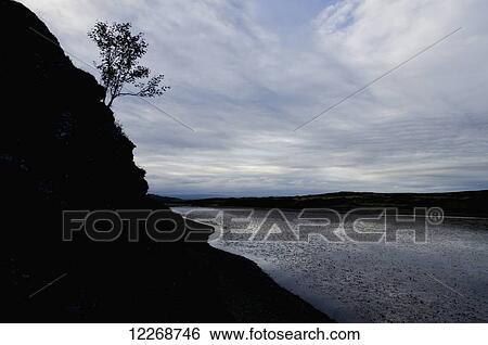 Silhouette of a tree clinging to the steep cliff along a lake; Powys, Wales View Large Photo Image Stock Photograph - Silhouette of a tree clinging to the steep cliff along a lake; Powys, Wales. Fotosearch