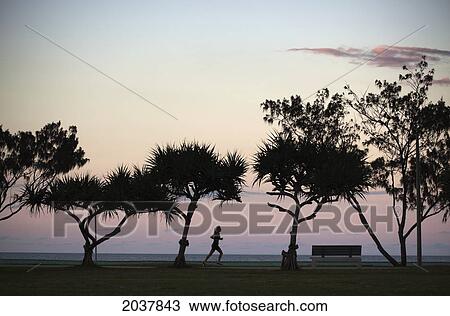 Silhouette Of A Woman Running Along Kirra Beach; South Gold Coast Queensland Australia View Large Photo Image Stock Image - Silhouette Of A Woman Running Along Kirra Beach; South Gold Coast Queensland Australia. Fotosearch