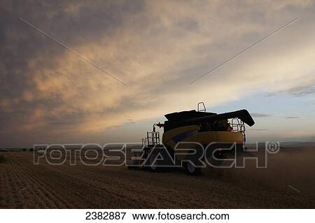 Silhouette of combine working in field with dramatic sky at sunset; Nanton, Alberta, Canada View Large Photo Image Stock Photo - Silhouette of combine working in field with dramatic sky at sunset; Nanton, Alberta, Canada. Fotosearch