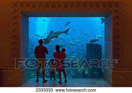 Stock Image - Silhouette Of Family Watching Fish In Aquarium, Atlantis The Palm Hotel; Dubai, United Arab Emirates. Fotosearch