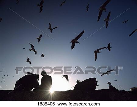 Stock Photograph - Silhouette Of Fish Gutters And Seagulls At Dusk Beside The Fishing Port. Fotosearch