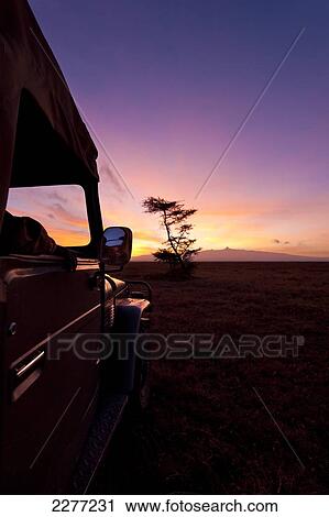 Silhouette of guide in 4x4 in front of Mt Kenya at dawn, Ol Pejeta Conservancy; Kenya View Large Photo Image Stock Image - Silhouette of guide in 4x4 in front of Mt Kenya at dawn, Ol Pejeta Conservancy; Kenya. Fotosearch