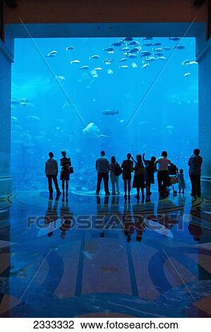 Stock Image - Silhouette Of People Watching Fish In Aquarium, Atlantis The Palm Hotel; Dubai, United Arab Emirates. Fotosearch
