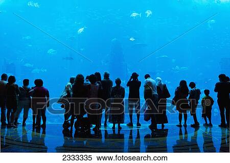 Stock Photography - Silhouette Of People Watching Fish In Aquarium, Atlantis The Palm Hotel; Dubai, United Arab Emirates. Fotosearch