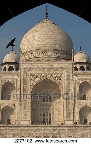 Silhouette of pigeon flying into doorway in front of Taj Mahal; Agra, India View Large Photo Image Stock Image - Silhouette of pigeon flying into doorway in front of Taj Mahal; Agra, India. Fotosearch
