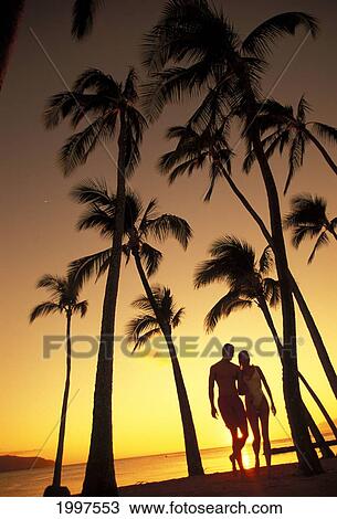 Silhouette Of Romantic Couple In Park At Sunset, Palm Trees, Ocean In Background View Large Photo Image Stock Image - Silhouette Of Romantic Couple In Park At Sunset, Palm Trees, Ocean In Background. Fotosearch