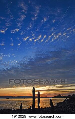 Silhouette Of Tree Stumps At Sunset, Holy Island, Northumberland, Uk View Large Photo Image Stock Photo - Silhouette Of Tree Stumps At Sunset, Holy Island, Northumberland, Uk. Fotosearch