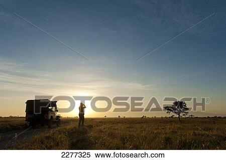 Silhouette of woman looking through binoculars in front of Mt Kenya at dawn, Ol Pejeta Conservancy; Kenya View Large Photo Image Stock Photography - Silhouette of woman looking through binoculars in front of Mt Kenya at dawn, Ol Pejeta Conservancy; Kenya. Fotosearch