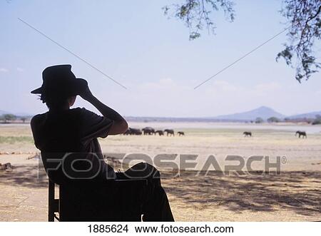 Picture - Silhouette Of Woman Watching Elephants Beside Lake In Vwaza Marsh Wildlife Reserve. Fotosearch