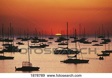 Stock Photo - Silhouetted Sailboats In Darwin Harbor. Fotosearch