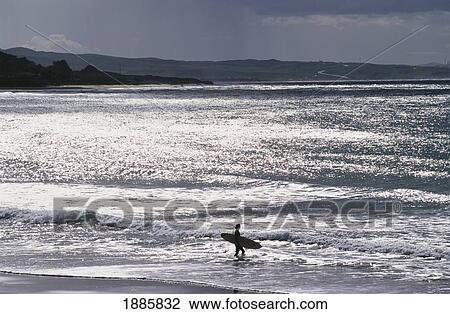 Stock Image - Silhouetted Surfer Walking Into Ocean. Fotosearch