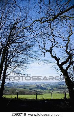 Silhouetted Trees In A Woodland, Overlooking Bampton Downs, Fields, Hills And Valleys In Mid Devon, South West, Uk View Large Photo Image Stock Photo - Silhouetted Trees In A Woodland, Overlooking Bampton Downs, Fields, Hills And Valleys In Mid Devon, South West, Uk. Fotosearch