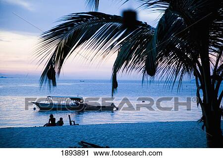 Stock Image - Silhouettes Of People Relaxing On Beach At Dusk. Fotosearch