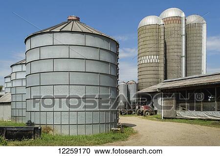 Stock Image - Silos on a farm; Ridgley, Maryland, United States of America. Fotosearch