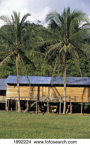 Picture - Singut Long Houses Of Kenyh Tribe, Near Rejang River. Fotosearch